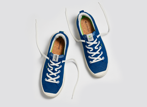 IBI Low Pantone Classic Blue Knit Sneaker Men